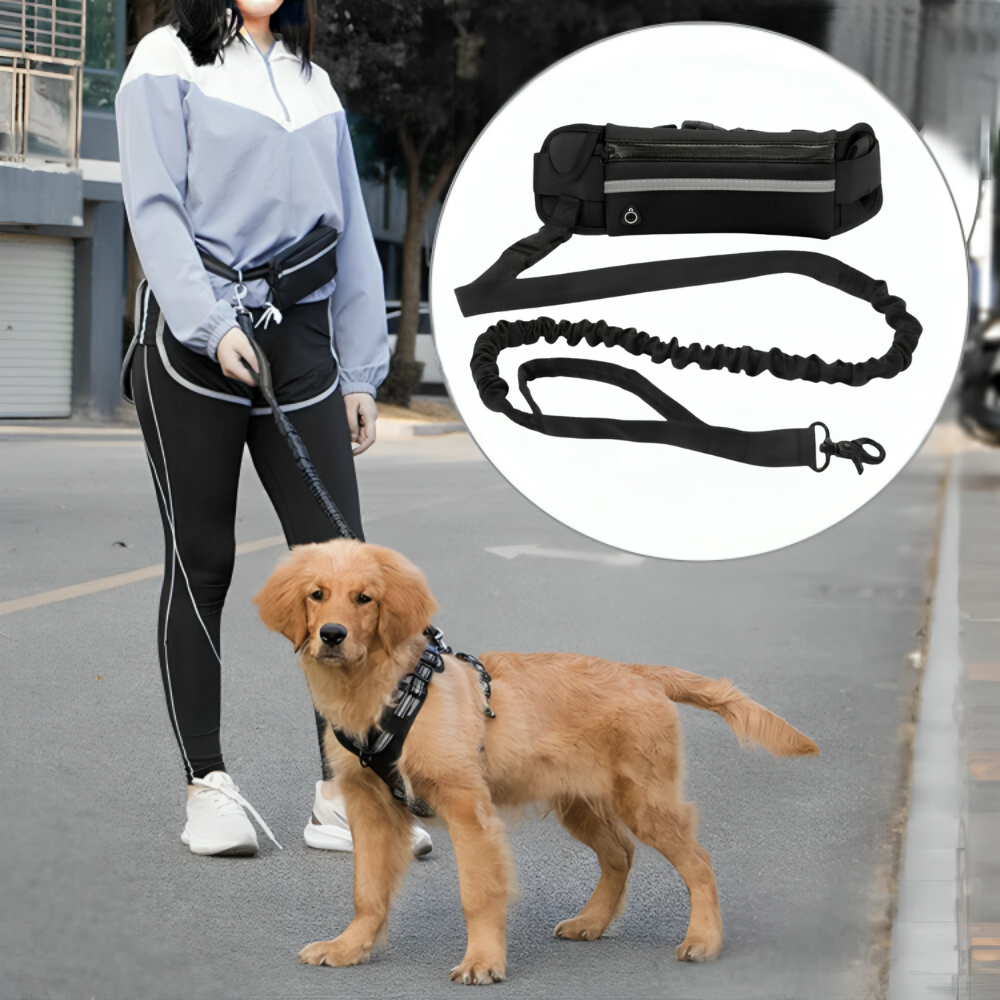 Hands free dog leash belt best sale