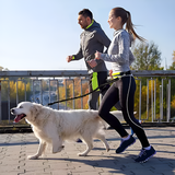 Hands-Free Dog Belt