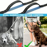 Hands-Free Dog Belt