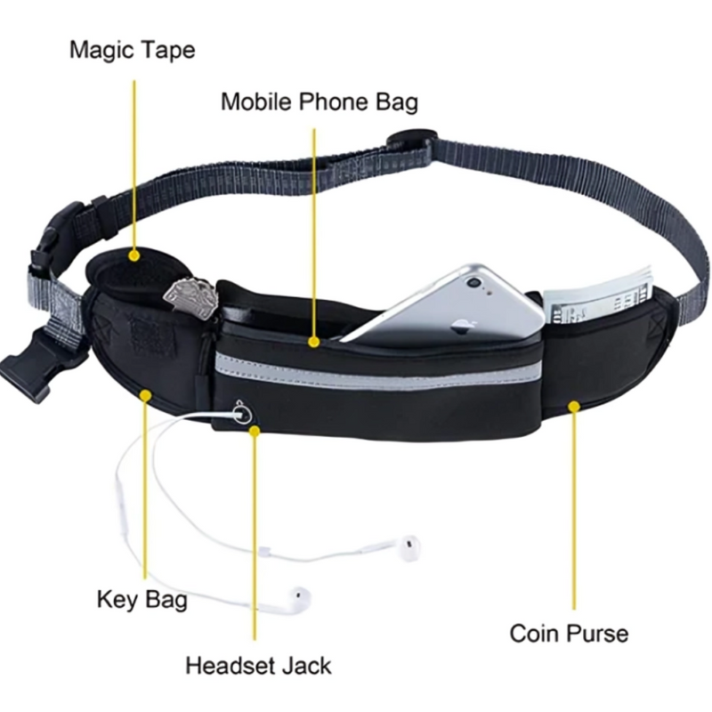 Hands-Free Dog Belt