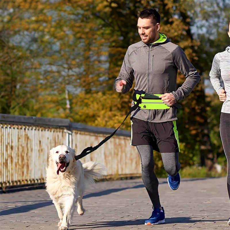 Hands-Free Dog Belt