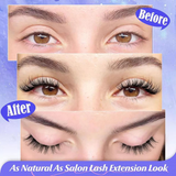 Magnetic Pro Lash Kit